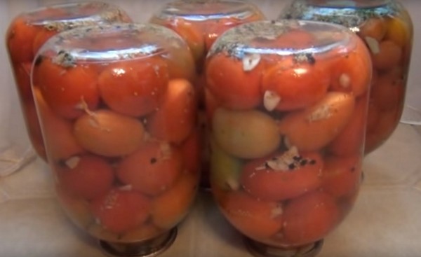 Tomates con ajo para el invierno, recetas. Cosecha de tomates con ajo para el invierno: una receta para cocinar rápidamente, sin esterilización, salada sin bañarse