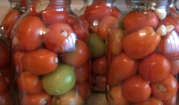 Tomates con ajo para el invierno, recetas. Cosecha de tomates con ajo para el invierno: una receta para cocinar rápidamente, sin esterilización, salada sin bañarse