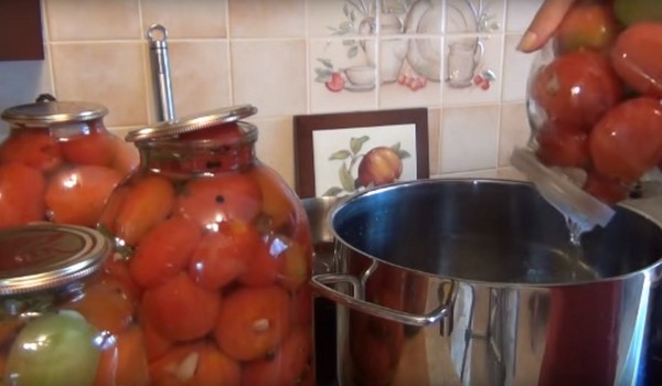 Tomates con ajo para el invierno, recetas. Cosecha de tomates con ajo para el invierno: una receta para cocinar rápidamente, sin esterilización, salada sin bañarse