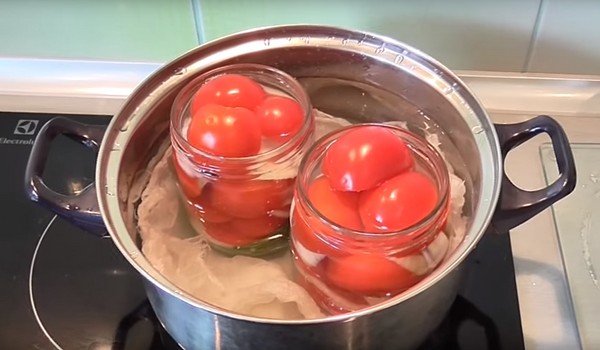 Tomates en gelatina para el invierno - recetas con cebolla, sin esterilización. Tomates en vinagre cosechados en gelatina para el invierno