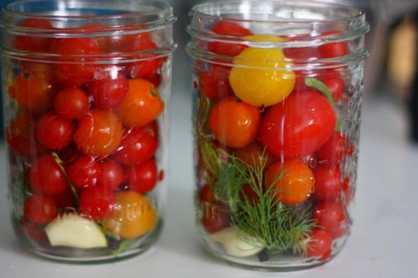 Tomates en gelatina para el invierno - recetas con cebolla, sin esterilización. Tomates en vinagre cosechados en gelatina para el invierno Tomates en gelatina para el invierno - recetas con cebolla, sin esterilización. Tomates en vinagre cosechados en gelatina para el invierno