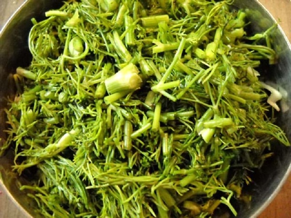 Recetas postales