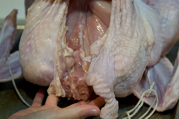 La receta de pavo para el Año Nuevo 2017 y Navidad - en el horno, multivark, en una sartén, con salsa de crema agria y verduras