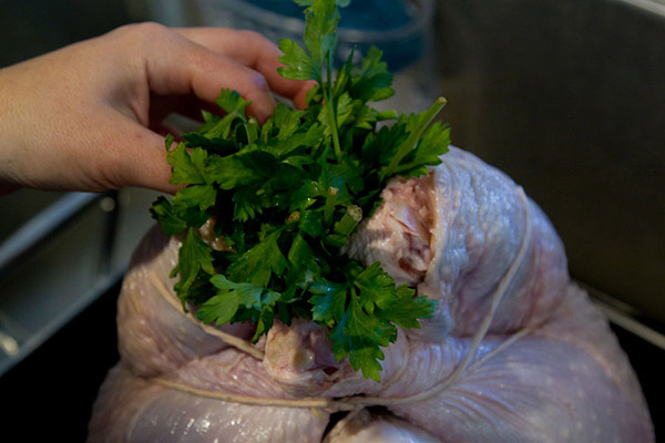 La receta de pavo para el Año Nuevo 2017 y Navidad - en el horno, multivark, en una sartén, con salsa de crema agria y verduras