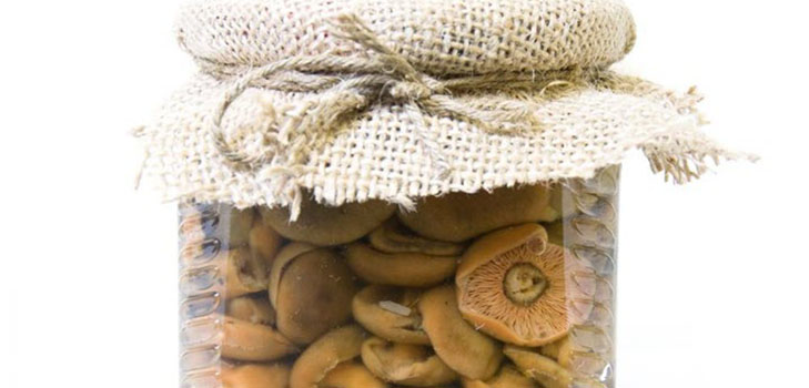 Rozhiki para el invierno - recetas para congelar, conservar en vinagre Rozhiki para el invierno - recetas para congelar, conservar en vinagre