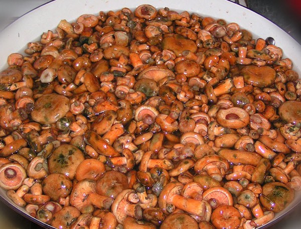 Rozhiki para el invierno - recetas para congelar, conservar en vinagre