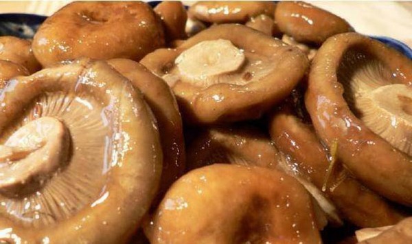 Rozhiki para el invierno - recetas para congelar, conservar en vinagre