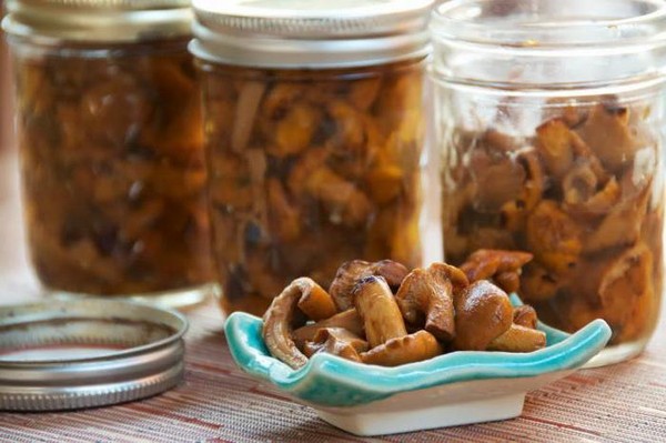 Rozhiki para el invierno - recetas para congelar, conservar en vinagre