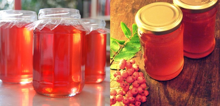 Rowan para el invierno: recetas de palanquilla del chokeberry rojo y negro habitual