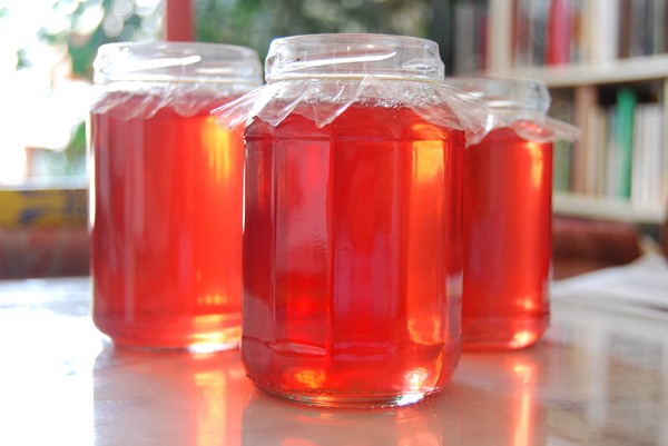 Rowan para el invierno: recetas de palanquilla del chokeberry rojo y negro habitual