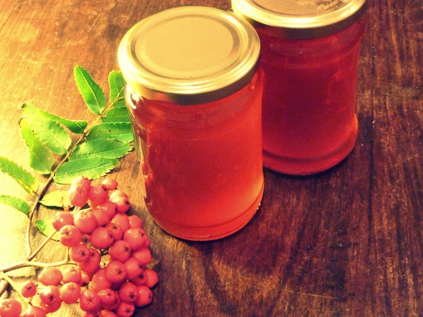 Rowan para el invierno: recetas de palanquilla del chokeberry rojo y negro habitual