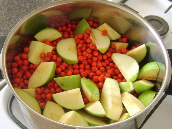 Rowan para el invierno: recetas de palanquilla del chokeberry rojo y negro habitual