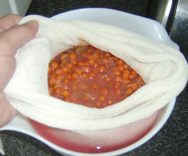 Rowan para el invierno: recetas de palanquilla del chokeberry rojo y negro habitual