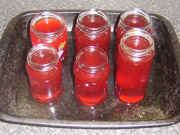 Rowan para el invierno: recetas de palanquilla del chokeberry rojo y negro habitual