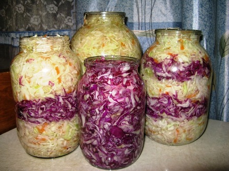 Ensalada de repollo rojo para el invierno