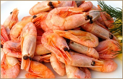 Ensalada de camarón y calamar