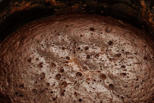 Cupcake de chocolate en multivarquet - receta rápida con foto