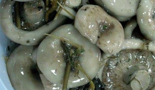 Pasas para el invierno: deliciosas y sencillas recetas de cocina