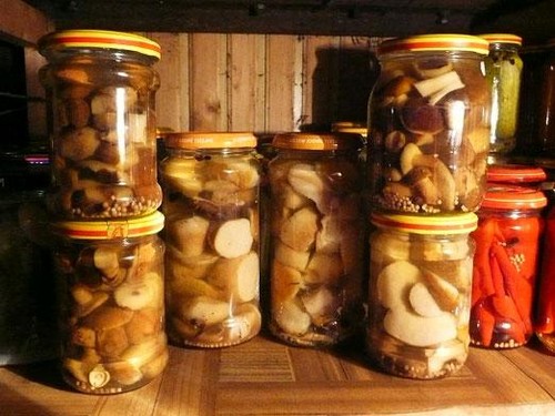 Centeno: recetas de cocina simples y deliciosas