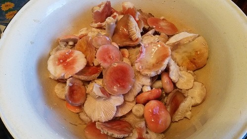 Centeno: recetas de cocina simples y deliciosas