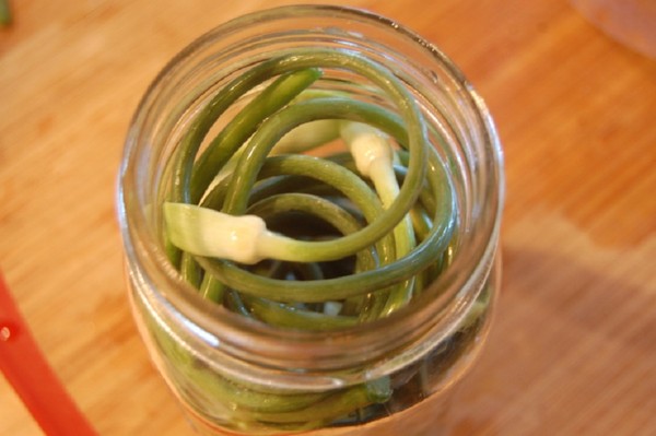 Flechas de ajo: las mejores recetas con fotos