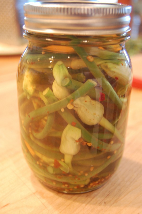 Flechas de ajo: las mejores recetas con fotos