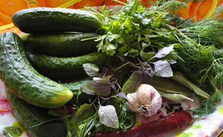 Pepinos conservados en vinagre secos para el invierno en casa - receta de la foto