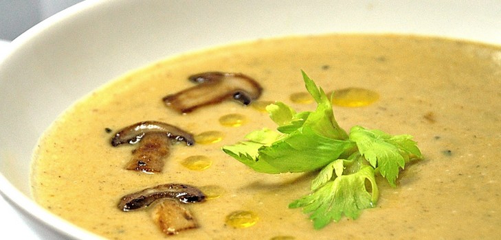 Sopa de corteza de abedul: recetas con foto