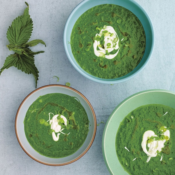 Sopa verde de acedera