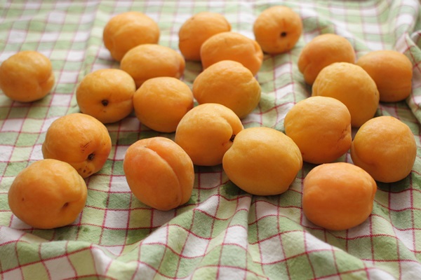 Mermelada de albaricoque - receta real