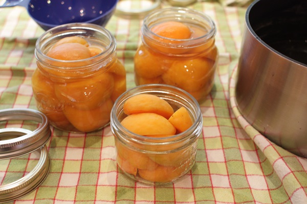 Mermelada de albaricoque - receta real