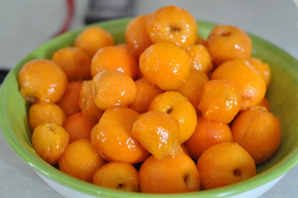Mermelada de albaricoque - receta real