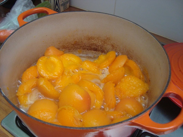 Mermelada de albaricoque - receta real