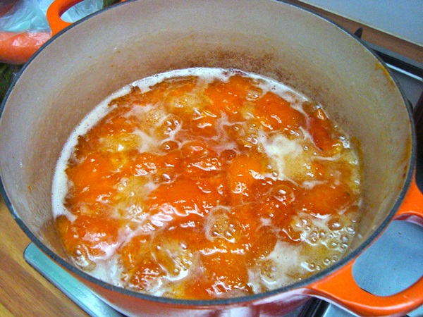Mermelada de albaricoque - receta real