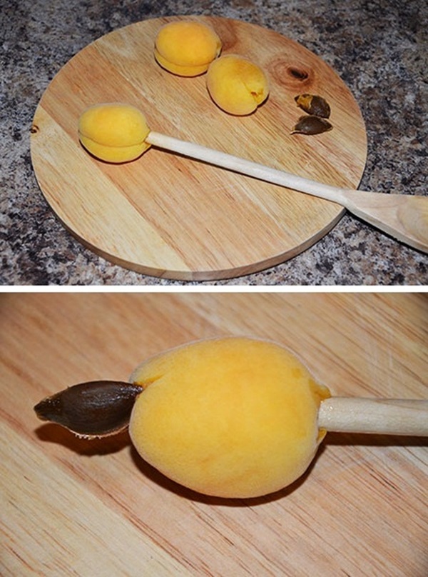 Mermelada de albaricoque - receta real