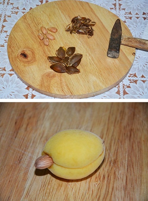Mermelada de albaricoque - receta real