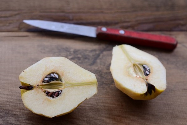 Mermelada de membrillo: las recetas más deliciosas con fotos