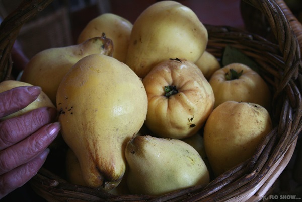 Mermelada de membrillo: las recetas más deliciosas con fotos