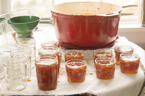 Mermelada de naranjas y cáscaras de naranja: recetas paso a paso con fotos