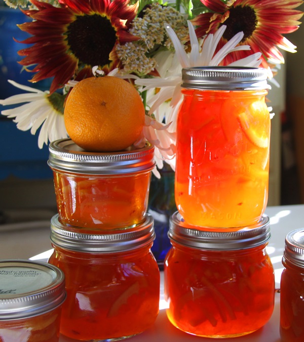 Mermelada de naranjas y cáscaras de naranja: recetas paso a paso con fotos