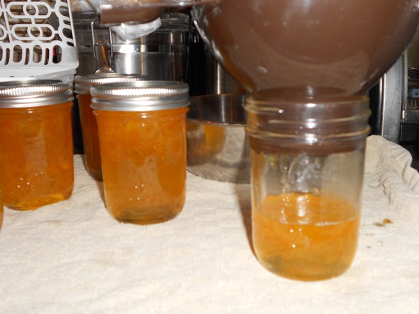 Mermelada de naranjas y cáscaras de naranja: recetas paso a paso con fotos