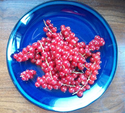 Jalea de grosella roja