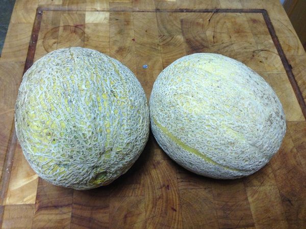 Mermelada de melón y corteza de melón para invierno - recetas simples
