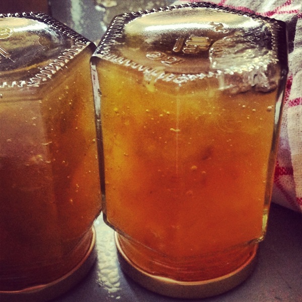 Mermelada de melón y corteza de melón para invierno - recetas simples