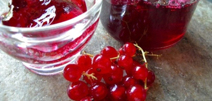 bayas de grosella roja