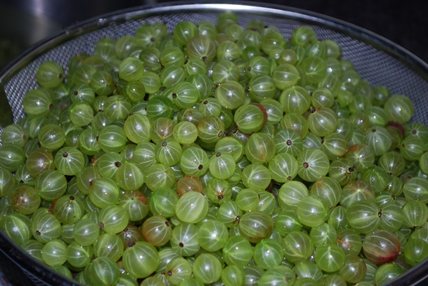 Recetas de mermelada de grosellas