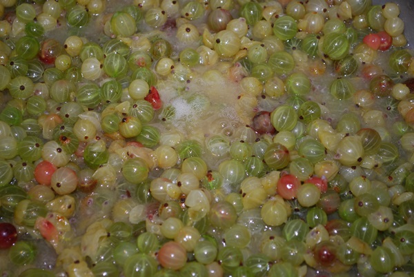 Recetas de mermelada de grosellas