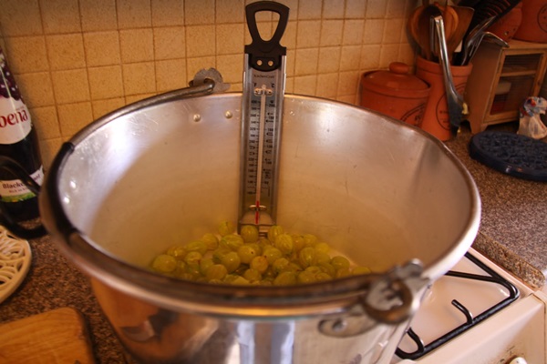 Recetas de mermelada de grosellas