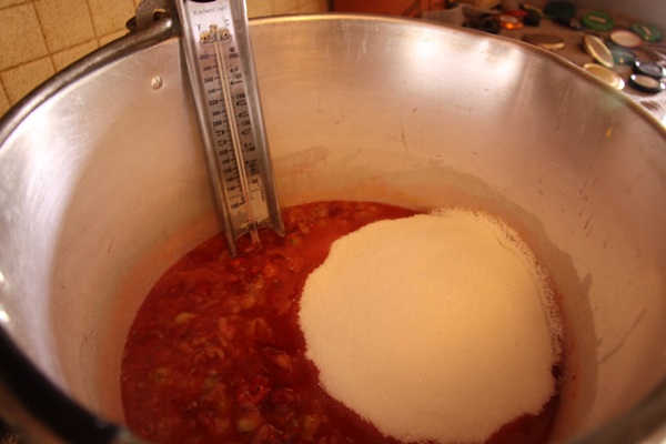 Recetas de mermelada de grosellas
