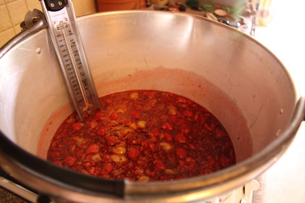 Recetas de mermelada de grosellas